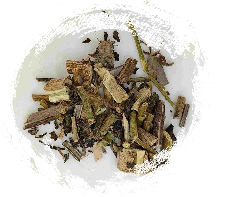 White Bud (Báiyīng)