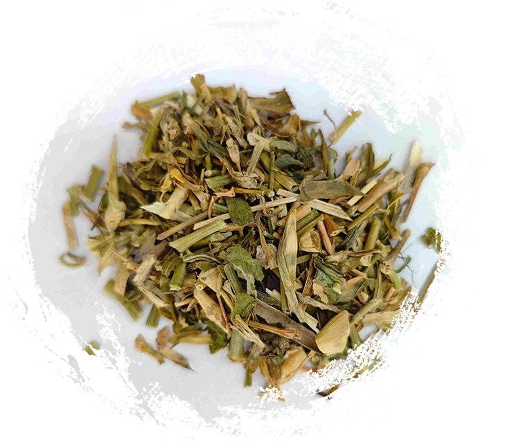 Chinese Bellflower (Qúmài)