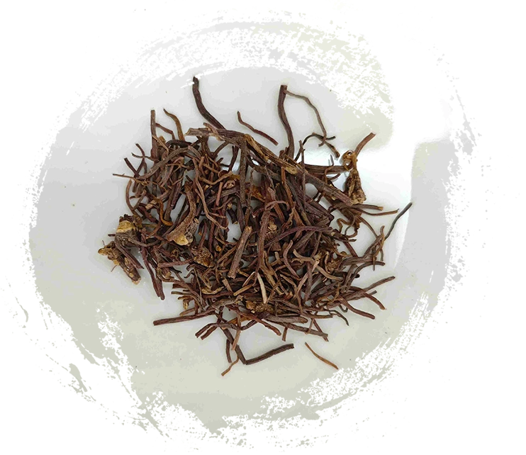 The Essential Guide to Plant TCM: Features, Functions, and Holistic Solutions
