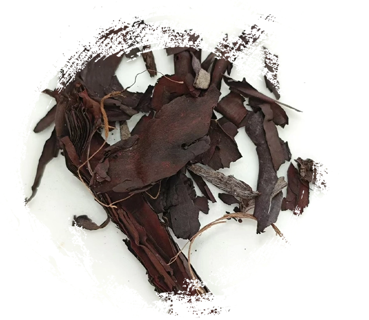 How Chinese Herbal Medicine Works: Principles, Mechanisms, and Practical Applications