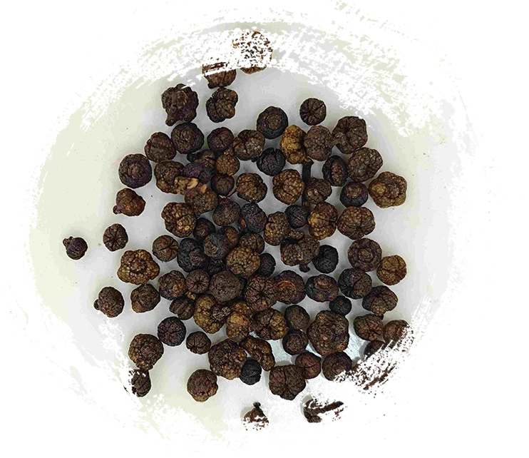 Processed Evodia Fruit (Zhì Wúzhūyú)