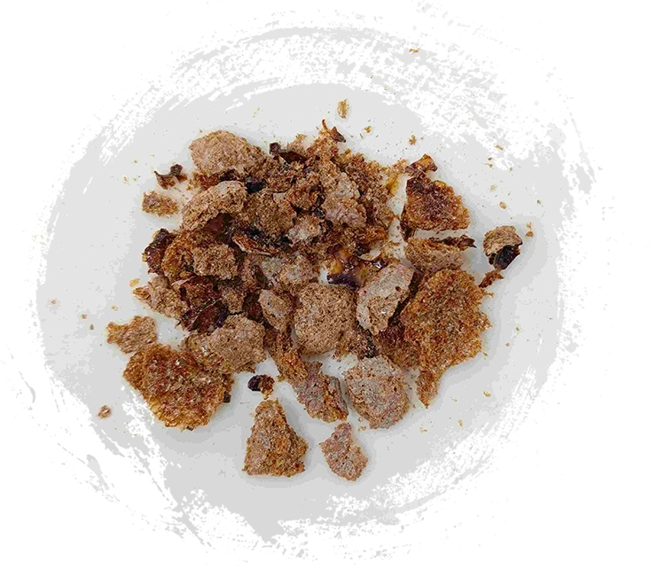 The Role of Animal Products in Traditional Chinese Medicine: Categories and Efficacy