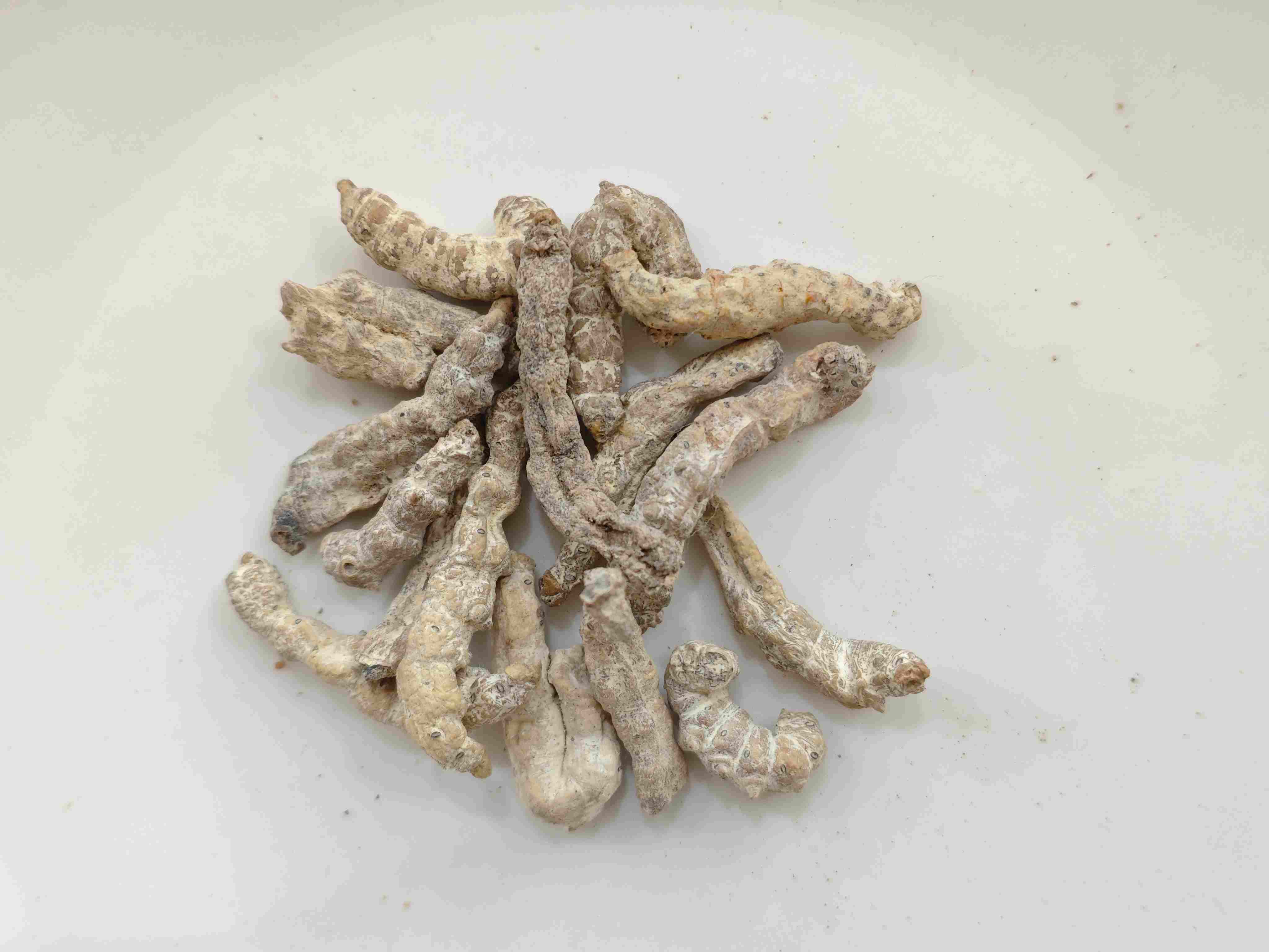 Stiff Silkworm (Jiāngcán)