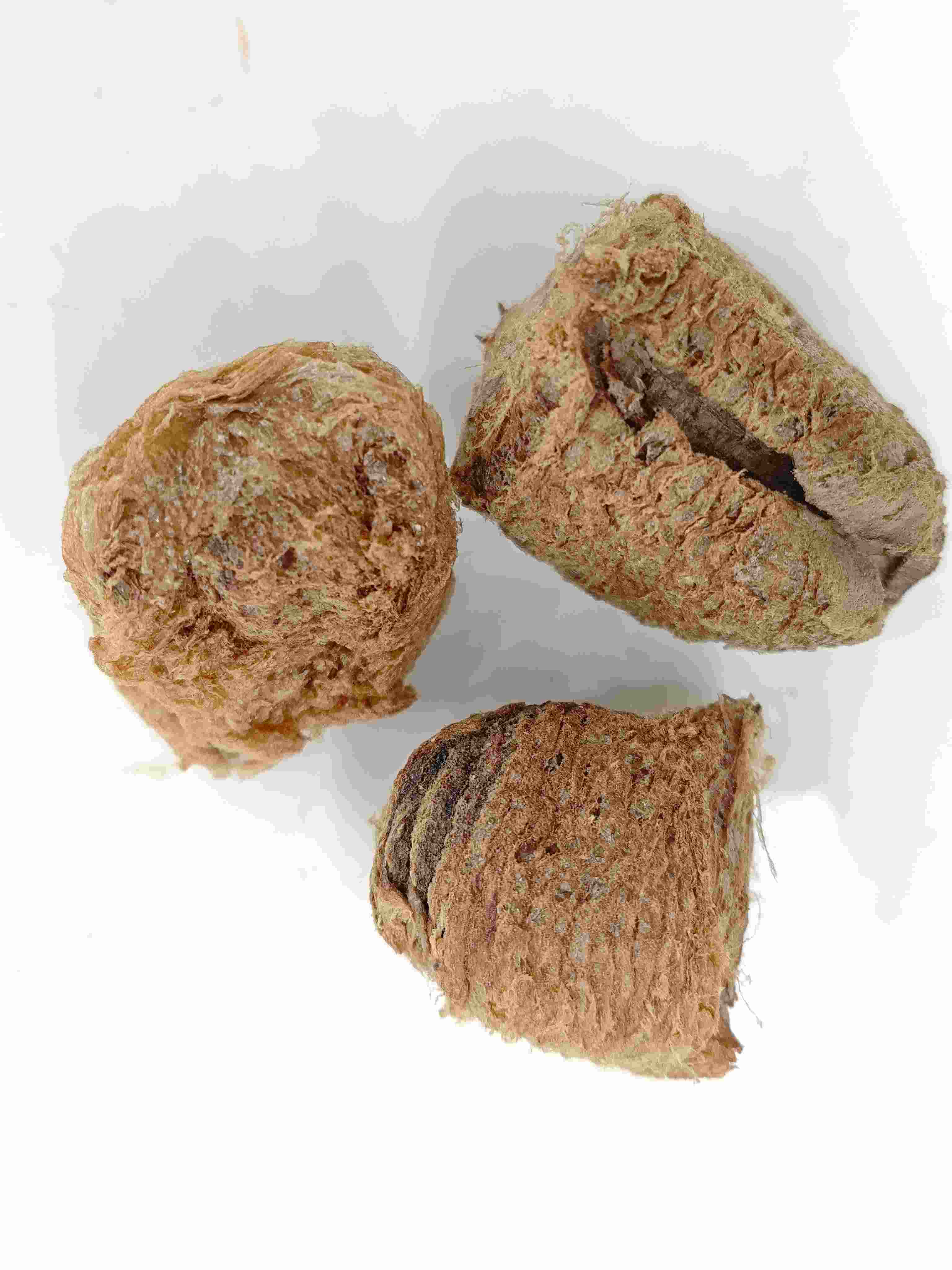 Silkworm Exuviae (Sāngpiáoqiào)