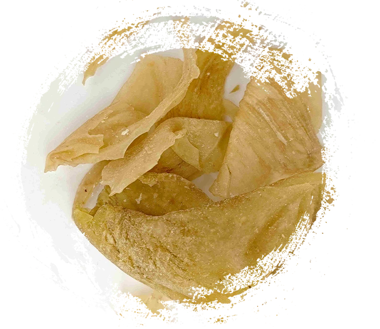 Key Features of Animal TCM: Functions, Energetics, and Unique Properties