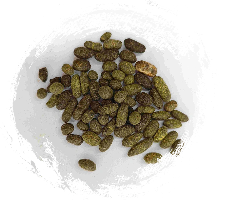 Lacquer Tree Resin (Wǔlíngzhī)