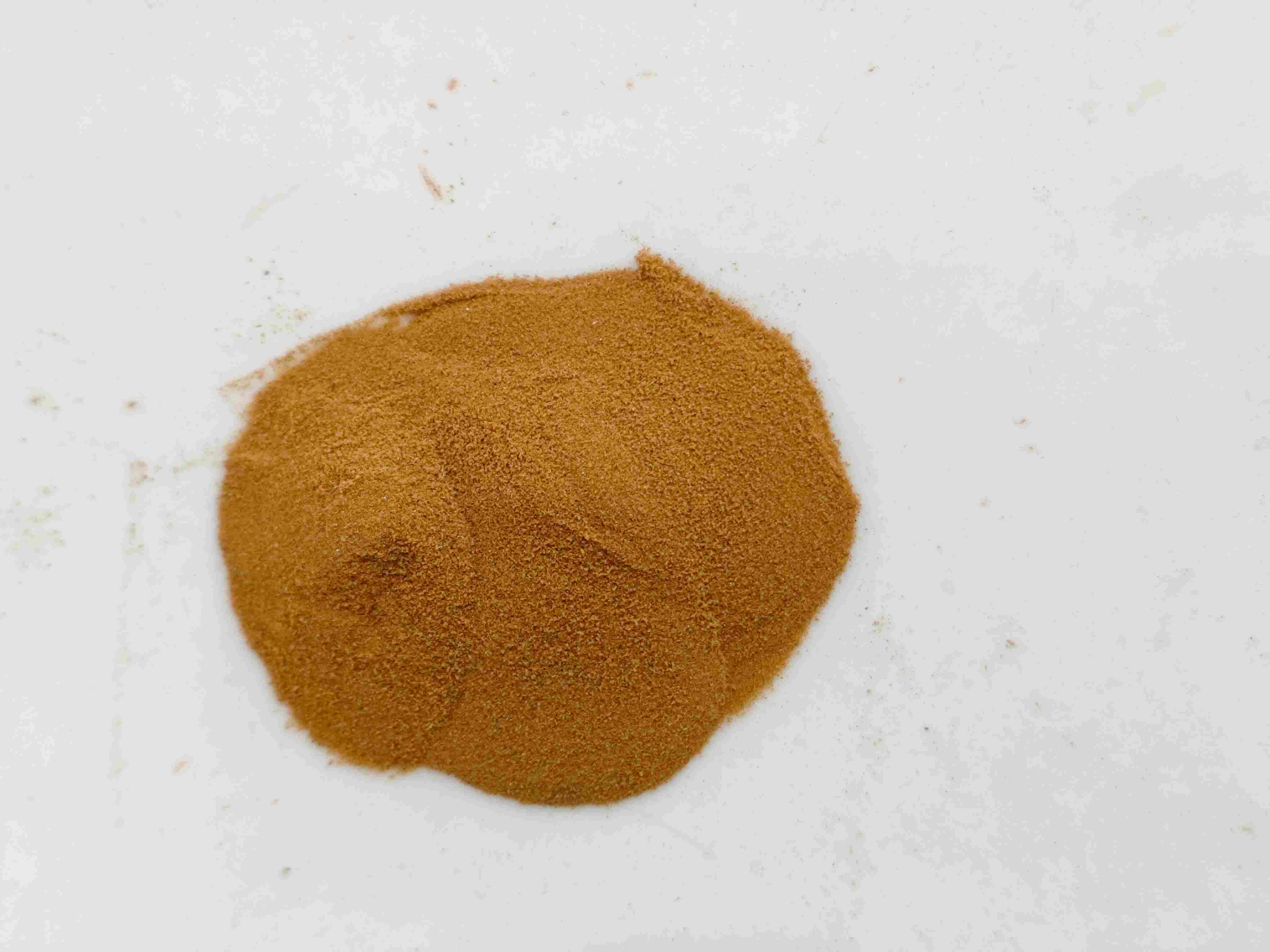 Lygodium Japonicum (Hǎijīnshā)