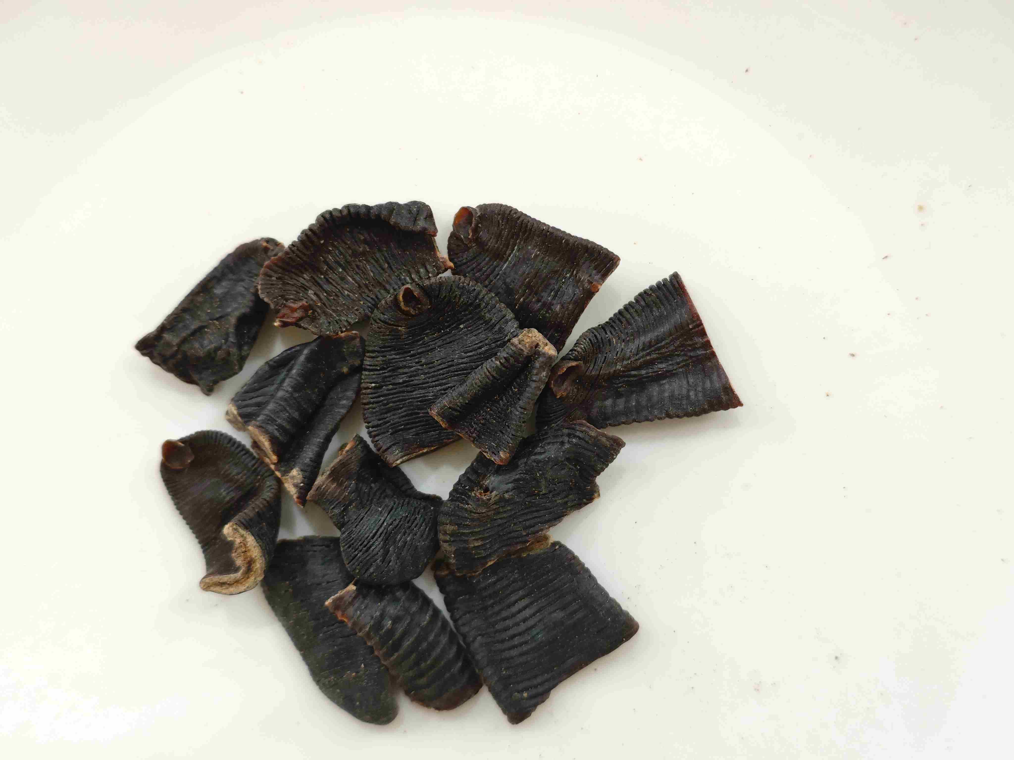 Leech (Shuǐzhì)