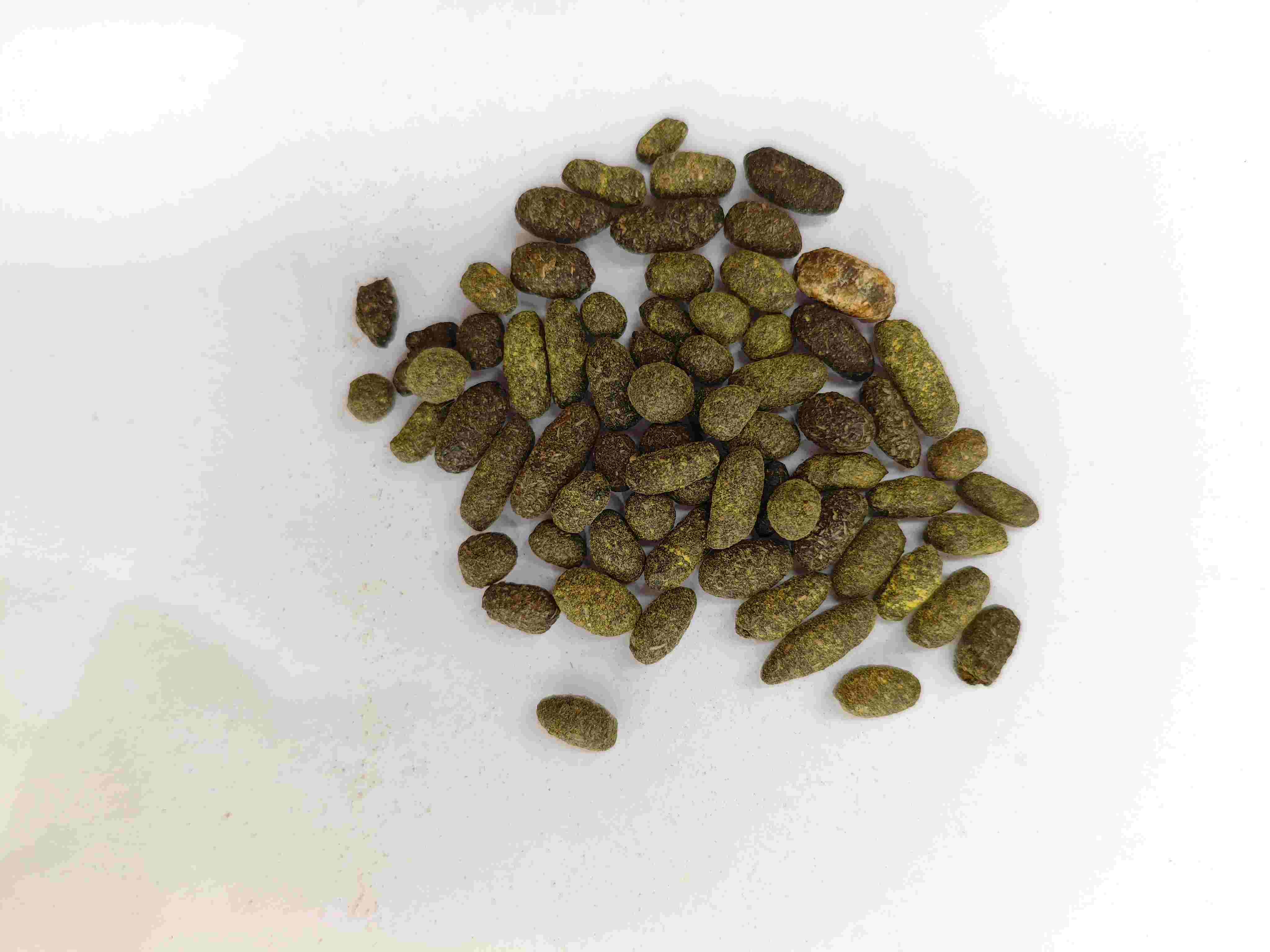 Lacquer Tree Resin (Wǔlíngzhī)