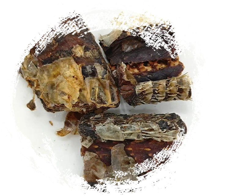 Wine-Processed Black-Zigzag Snake (Jiǔ Wūshāo Shé)