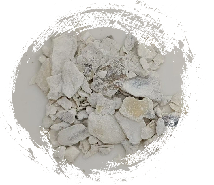 Oyster Shell (Mǔlì)