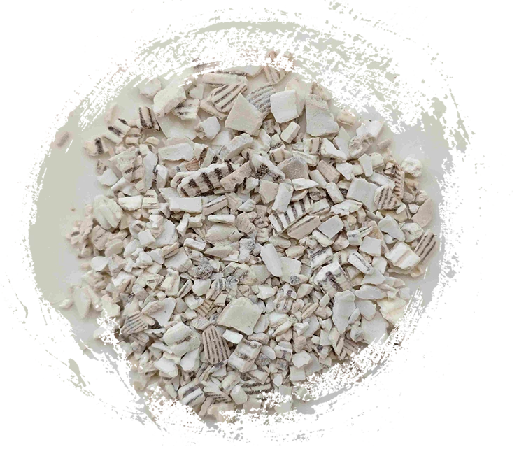 Thatched Tile Shell (Wǎléngzǐ)