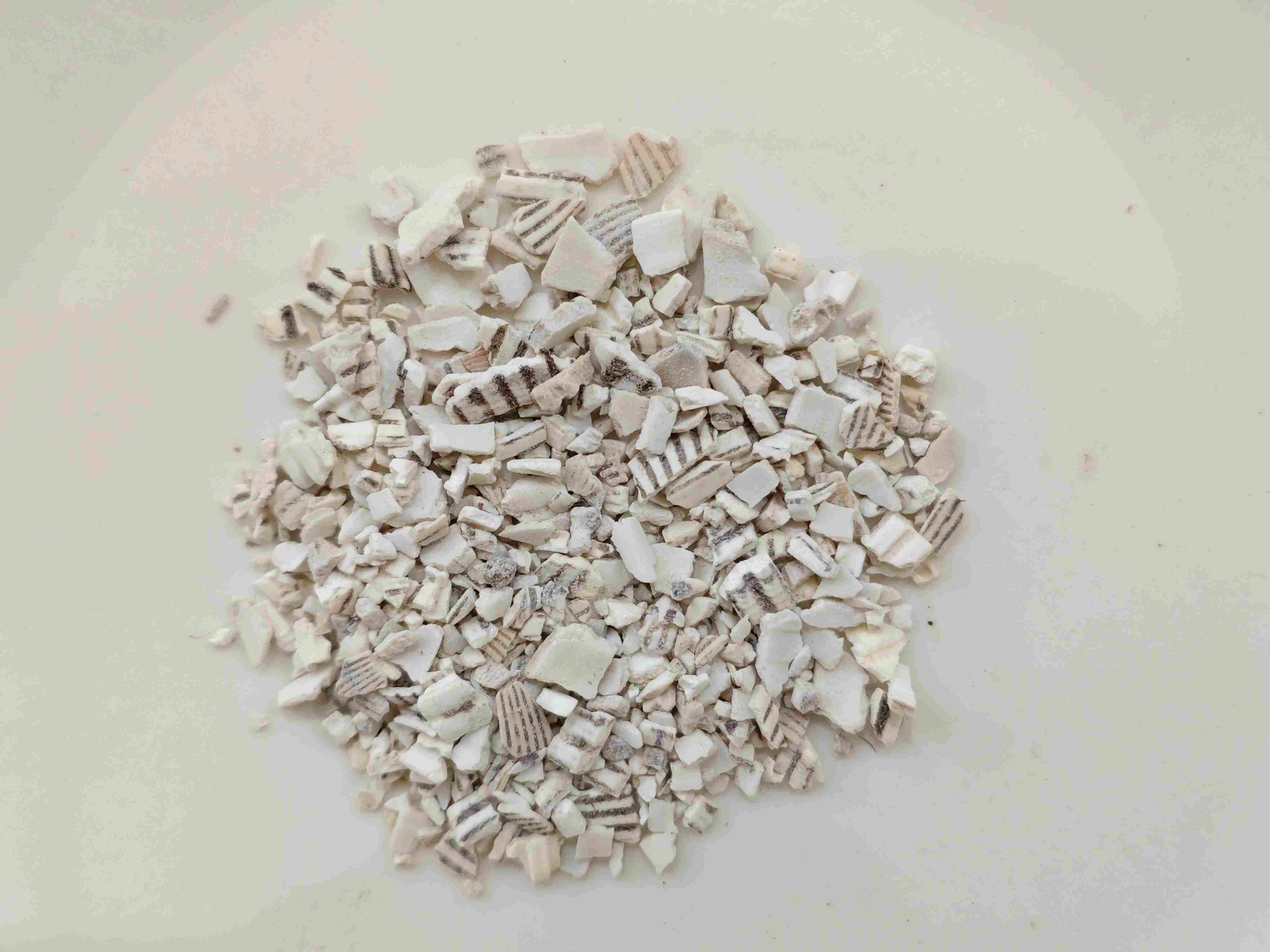 Thatched Tile Shell (Wǎléngzǐ)