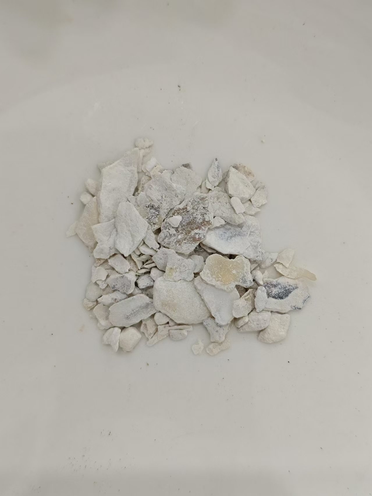 Oyster Shell (Mǔlì)