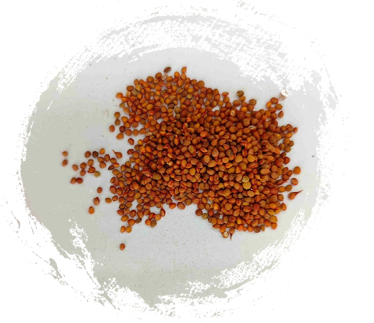 Which Features Should You Look for in High-Quality Traditional Chinese Mineral Medicine?