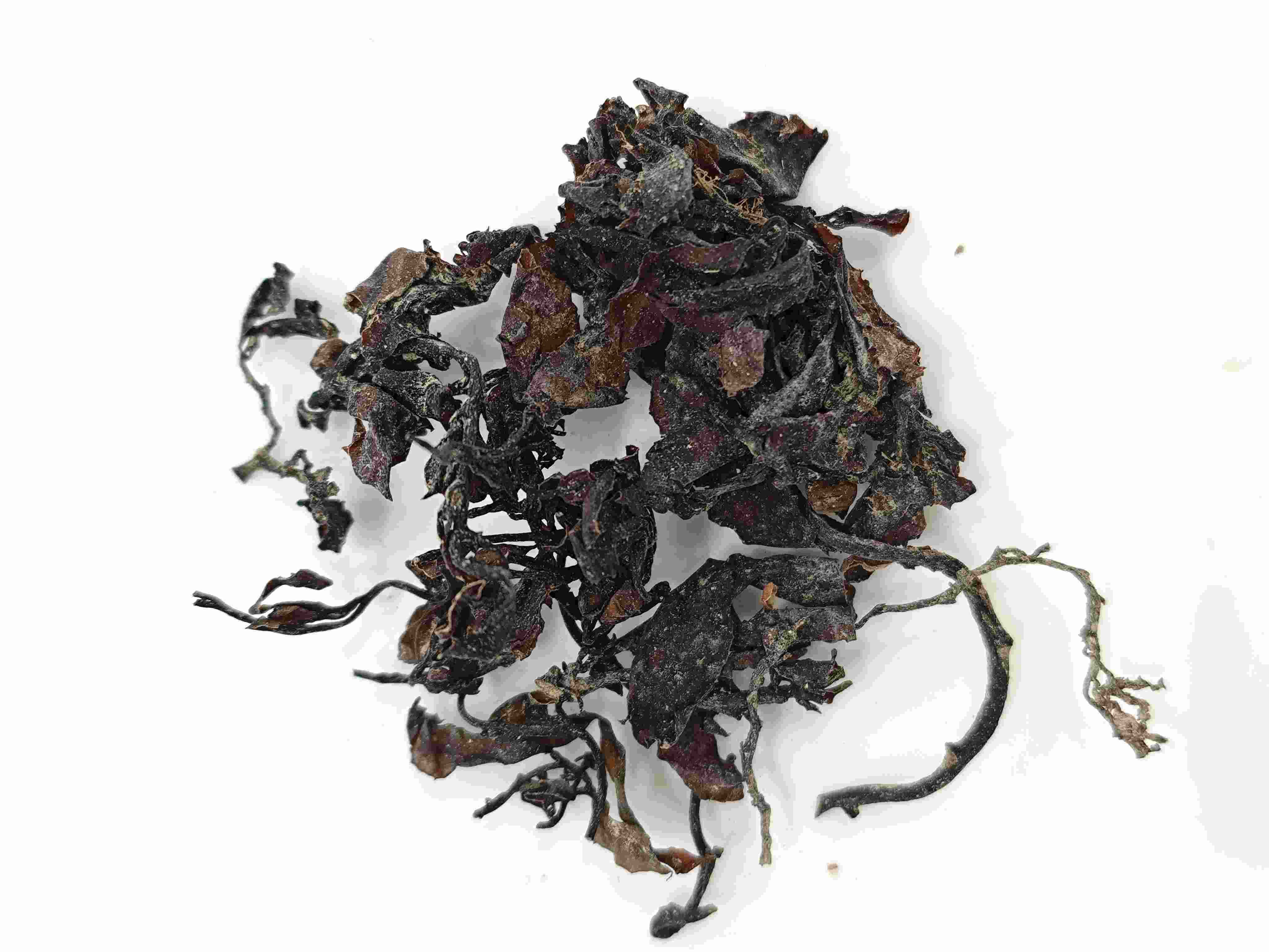 Seaweed (Hǎizǎo)
