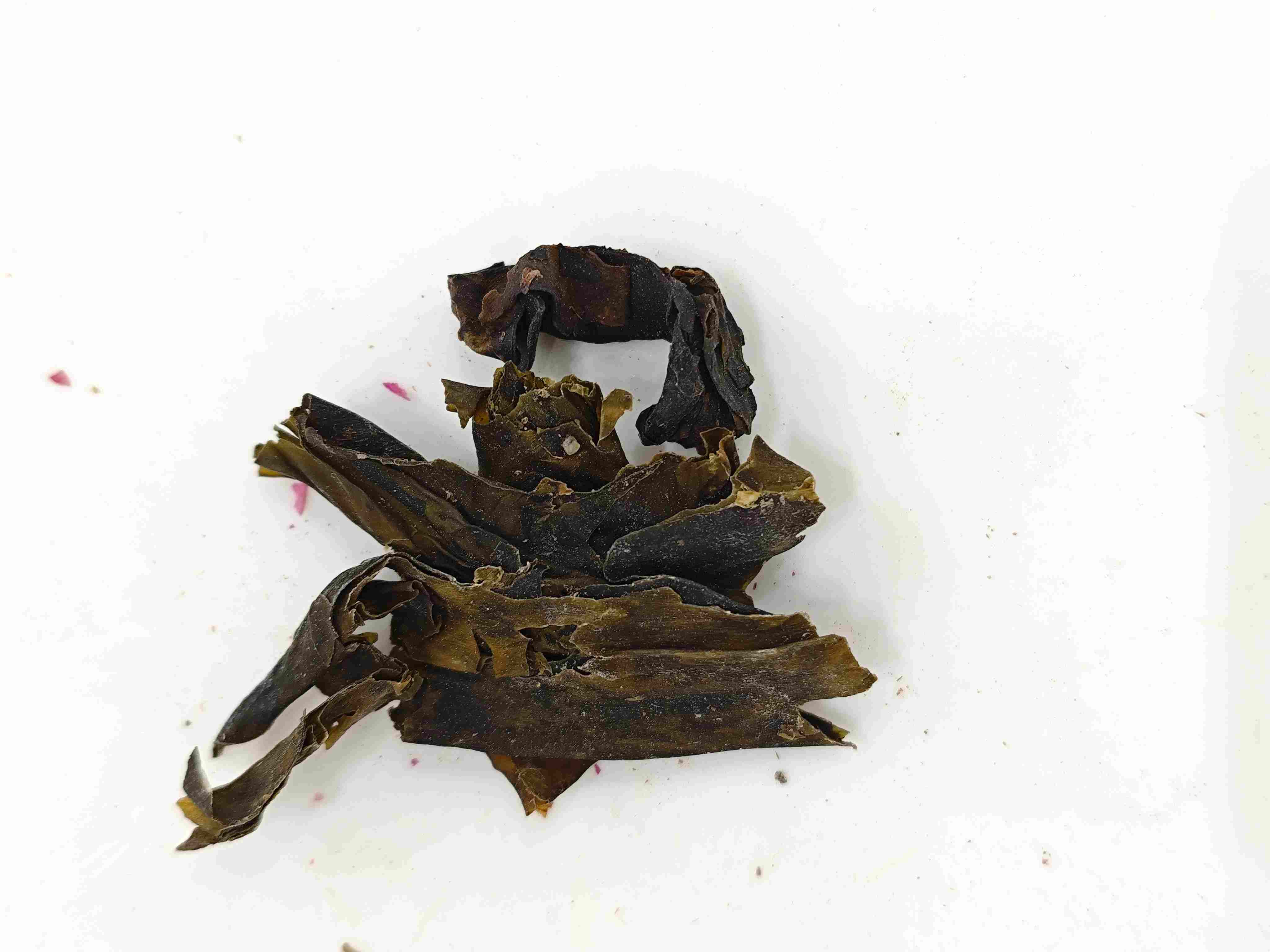 Kombu (Kūnbù)