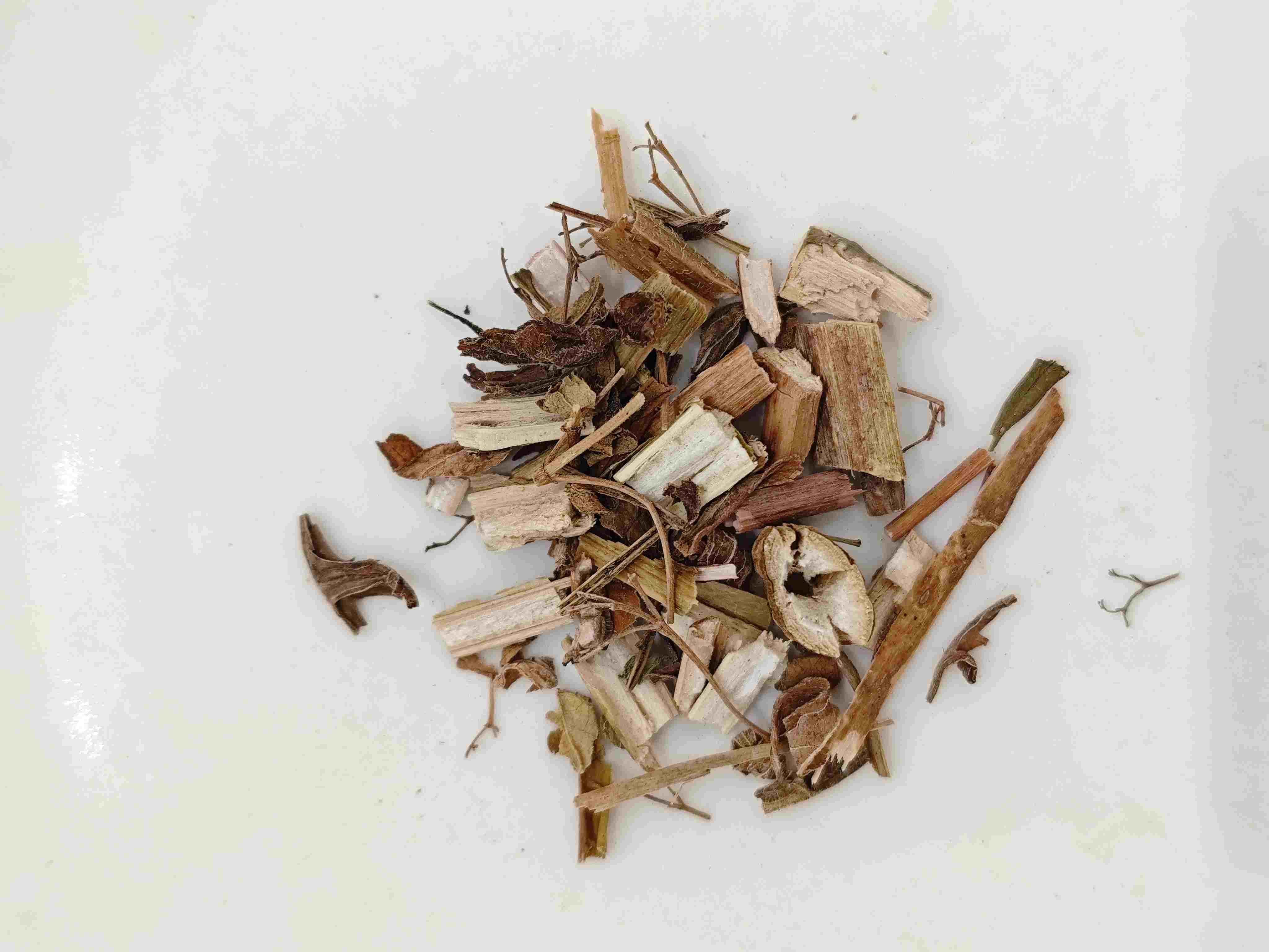 Defeated Sage Herb (Bàijiàngcǎo)
