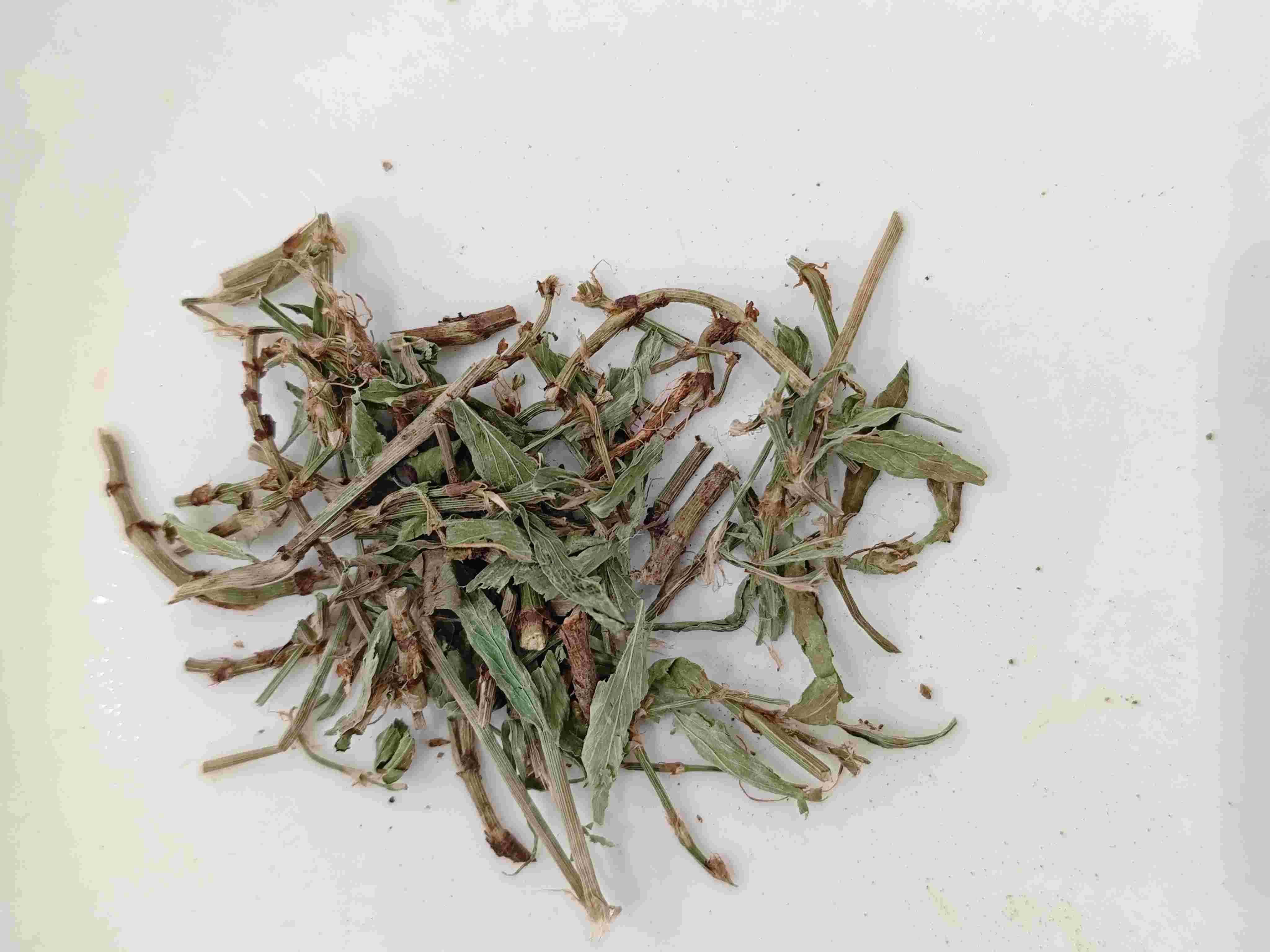 Dogwood Herb / Knotgrass (Piān xù)