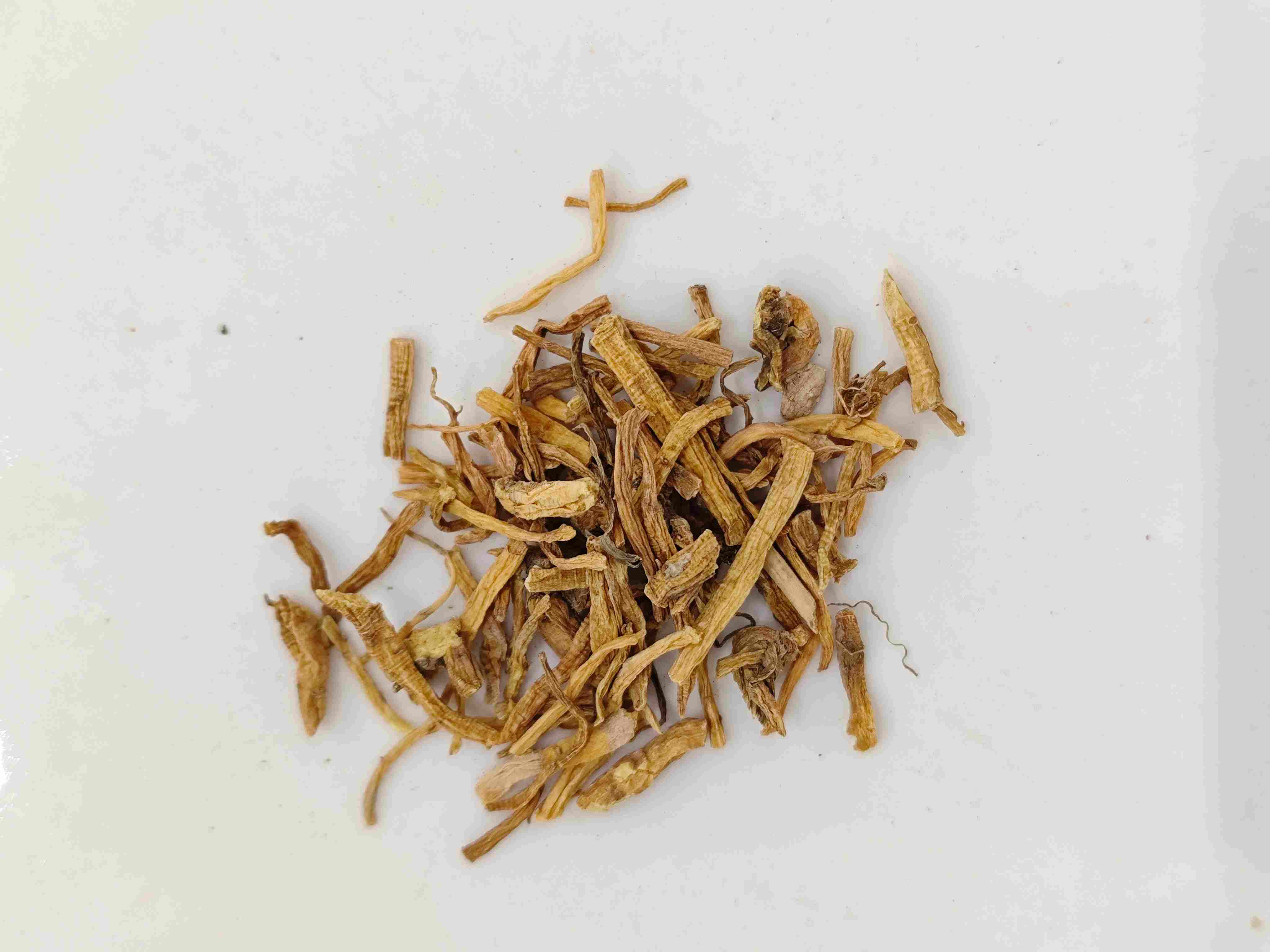 Gentiana (Lóngdǎn)