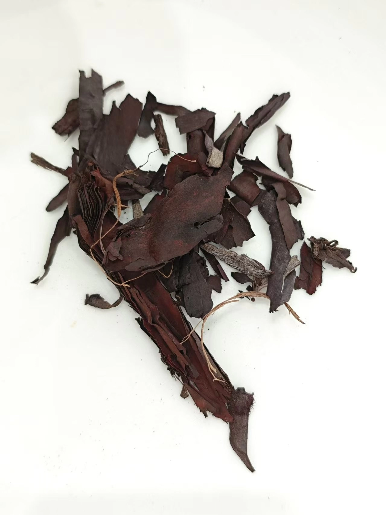 Lithospermum (Zǐcǎo)
