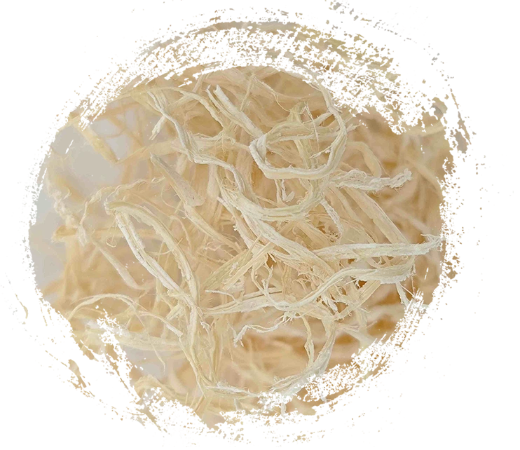 Bamboo Pith(Zhú Rú)