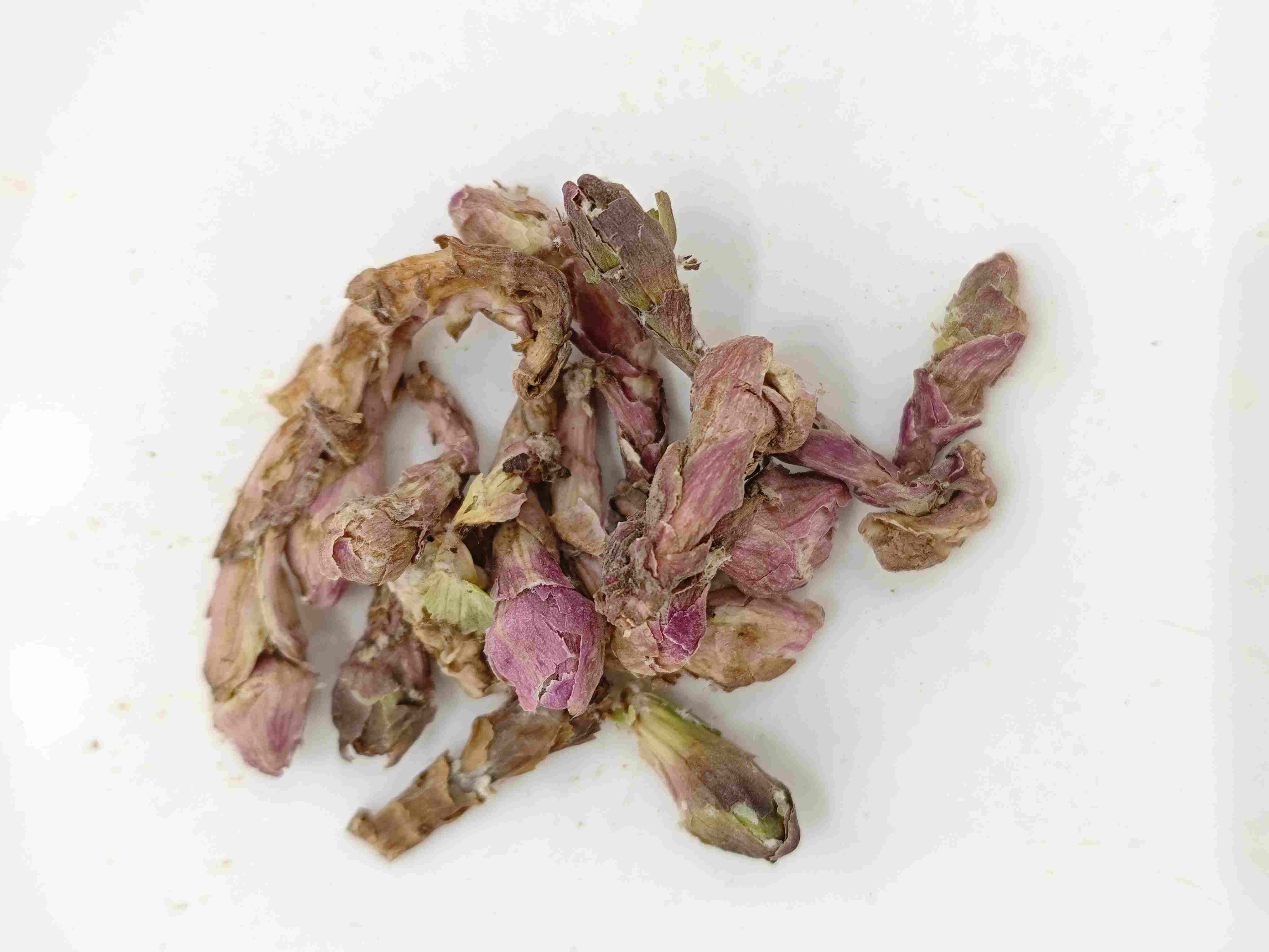 Winterhelmet Flower ( Kuǎndōng Huā )