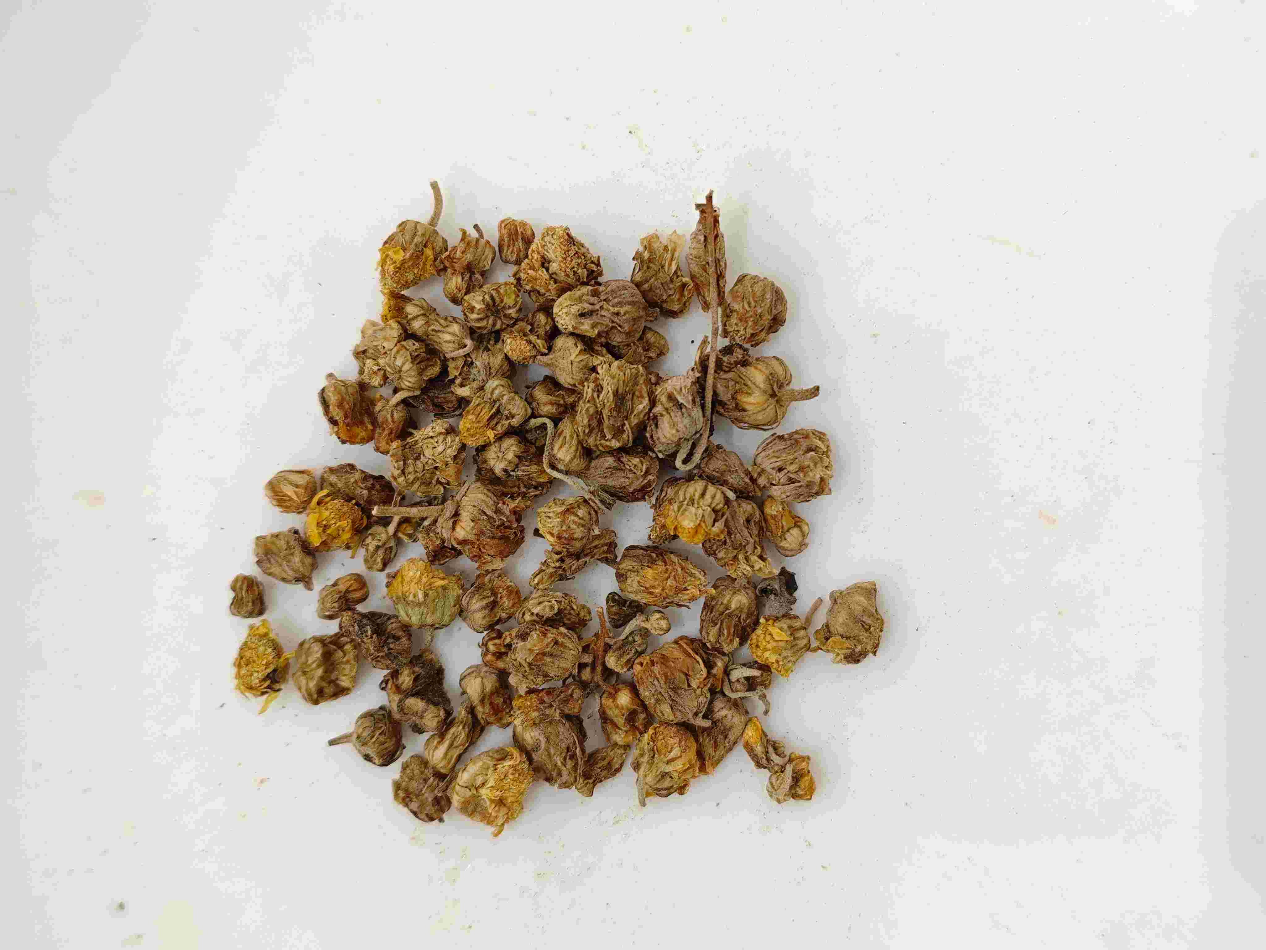 Wild Chrysanthemum (Yě Jú Huā)