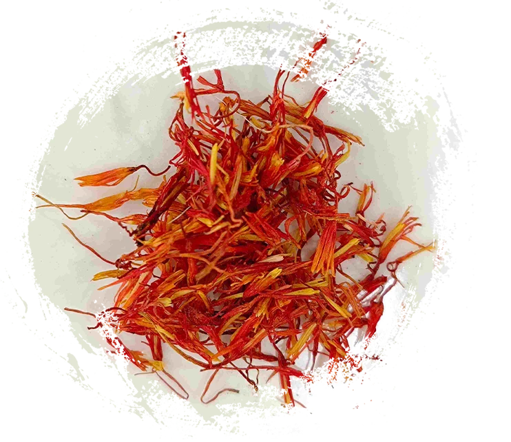 Safflower (Hónghuā)