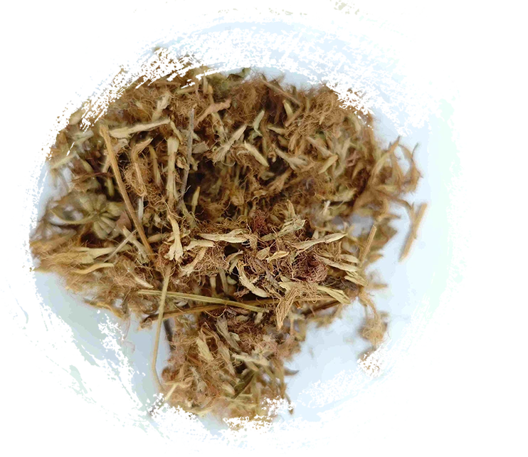 Silk Tree Flower (Héhuān Huā)