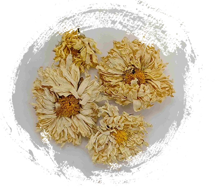 How Plants Play a Central Role in Traditional Chinese Medicine