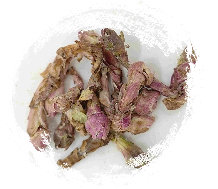 Winterhelmet Flower ( Kuǎndōng Huā )