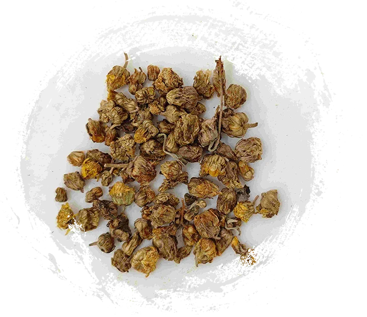 Wild Chrysanthemum (Yě Jú Huā)