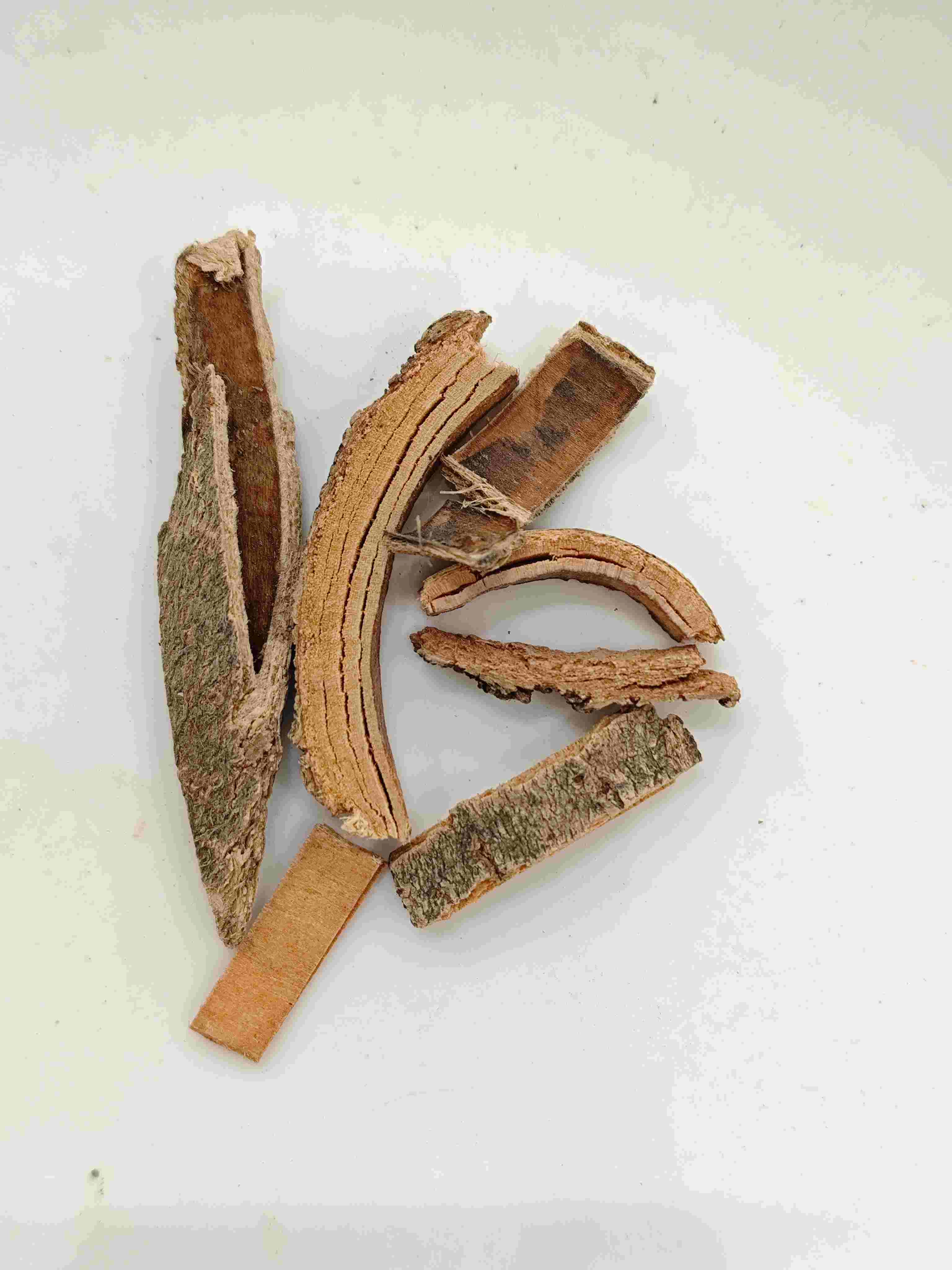 Chinese Ash Bark (Qín Pí)