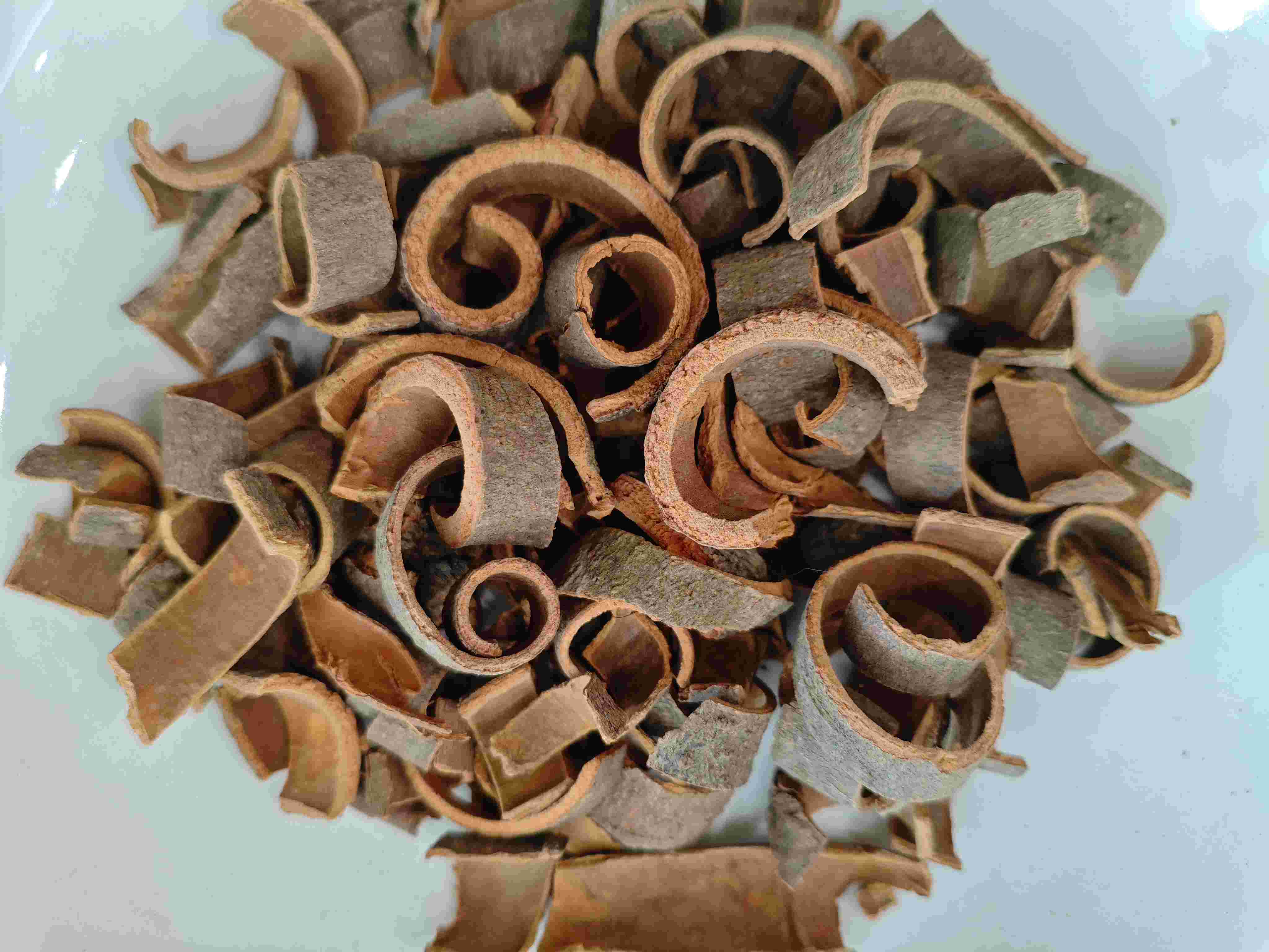 Cinnamon Bark (Ròuguì)