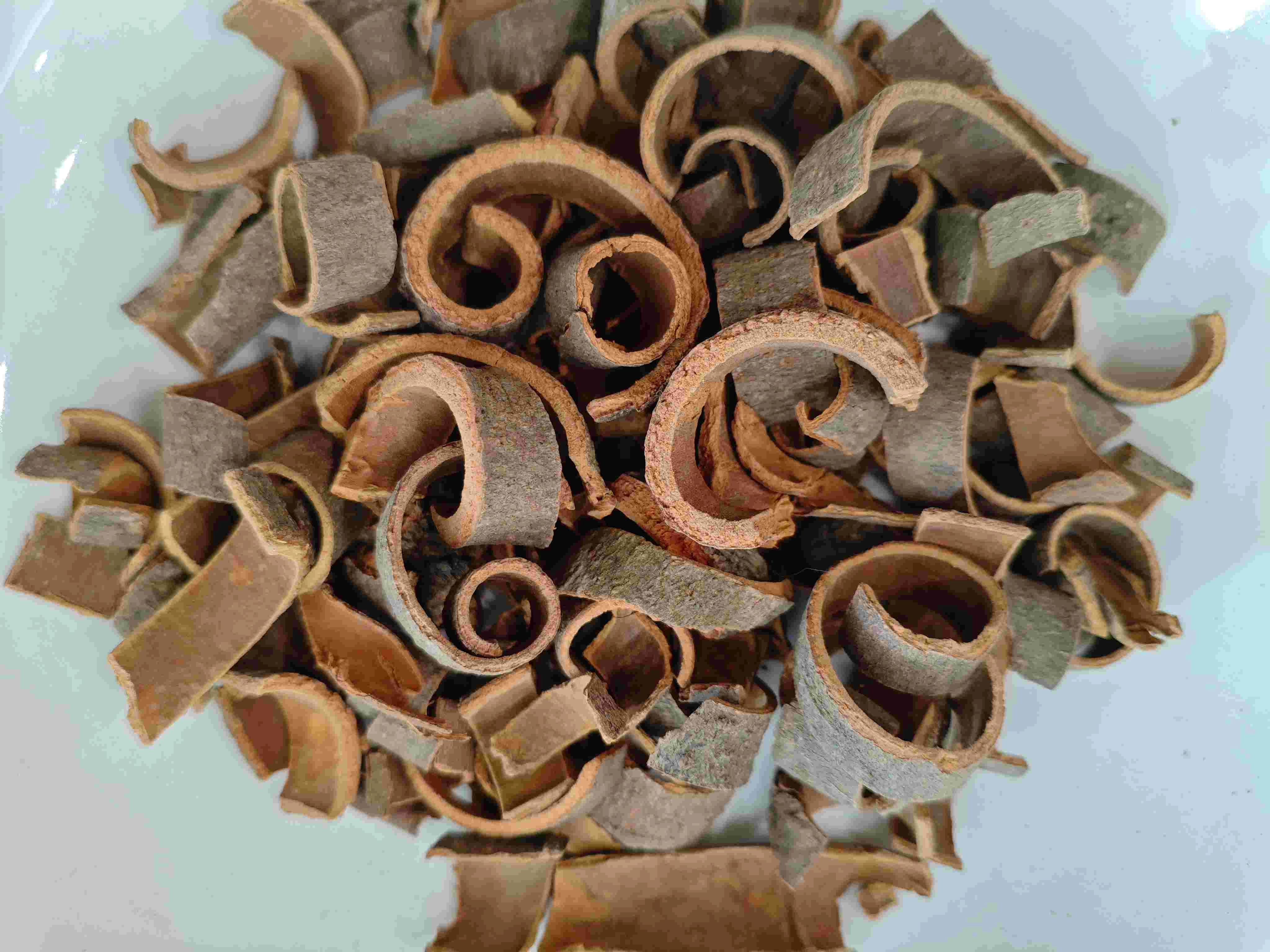 Cinnamon Bark (Ròuguì)