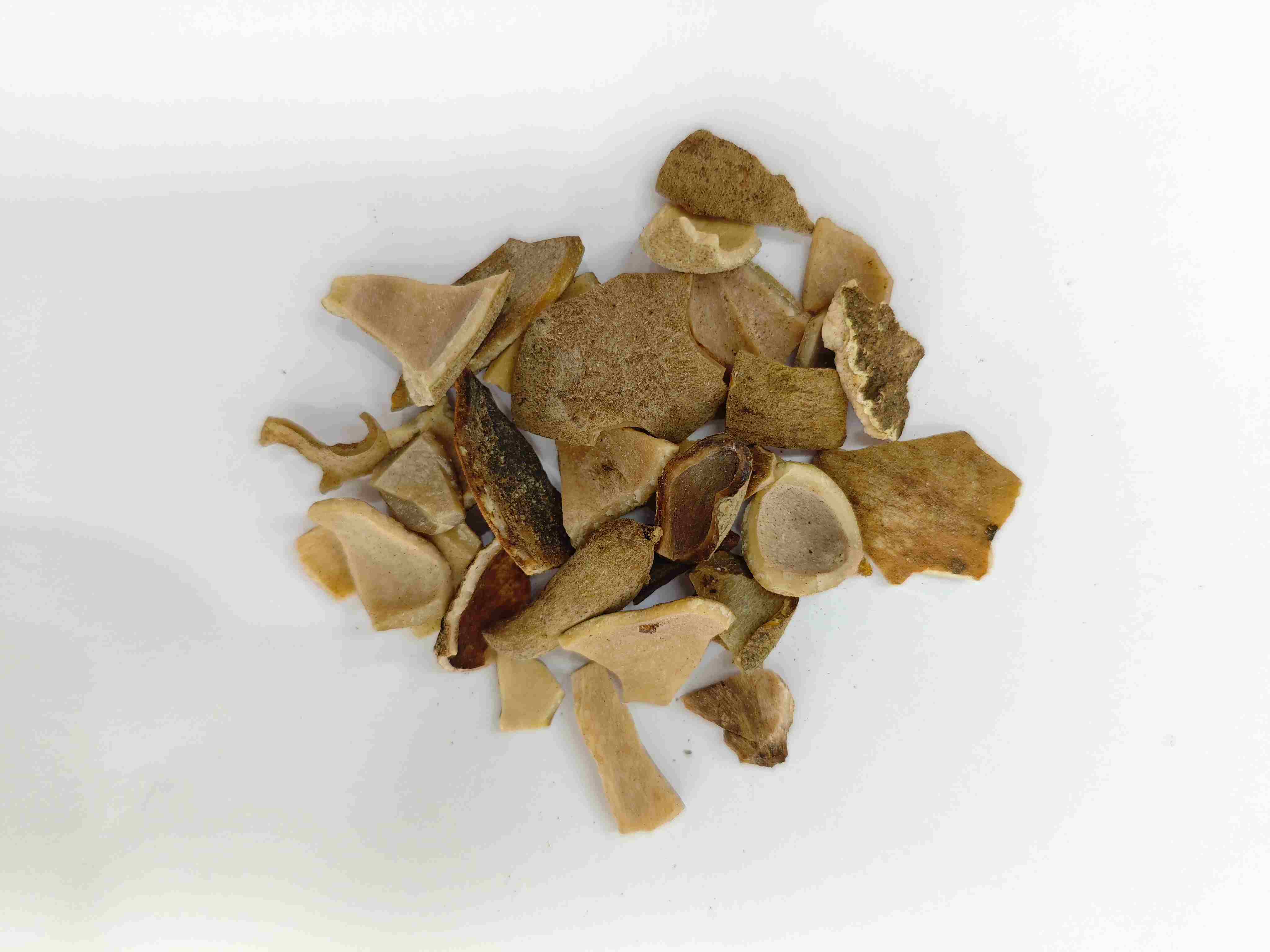 Chinese Gall (Wǔbèizǐ)