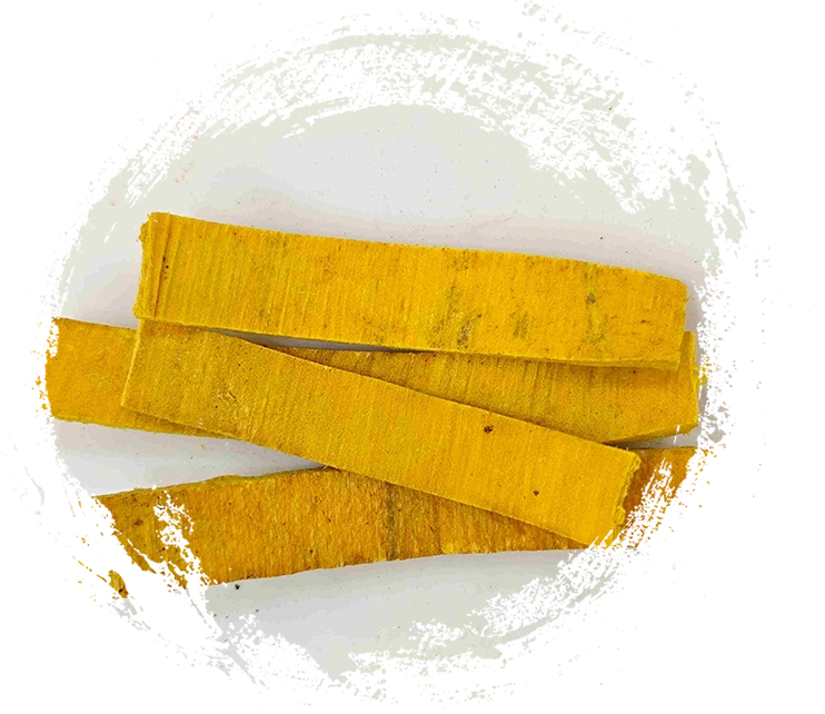 Phellodendron Bark (Huángbò)