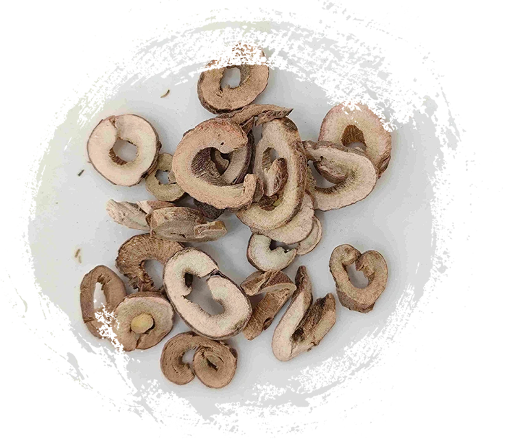 Tree Peony Bark (Mǔdān Pí)