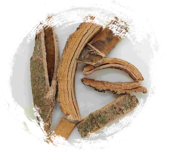 Chinese Ash Bark (Qín Pí)