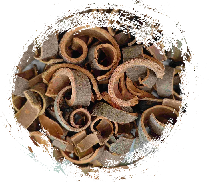 Key Healing Properties and Features of TCM Herbal Plants