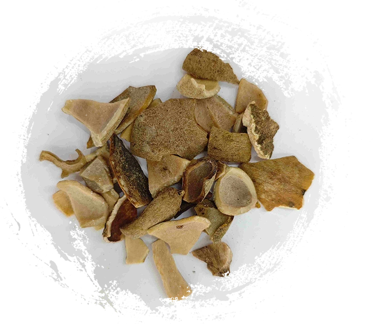 Chinese Gall in Practice: Common TCM Prescriptions and How They Work