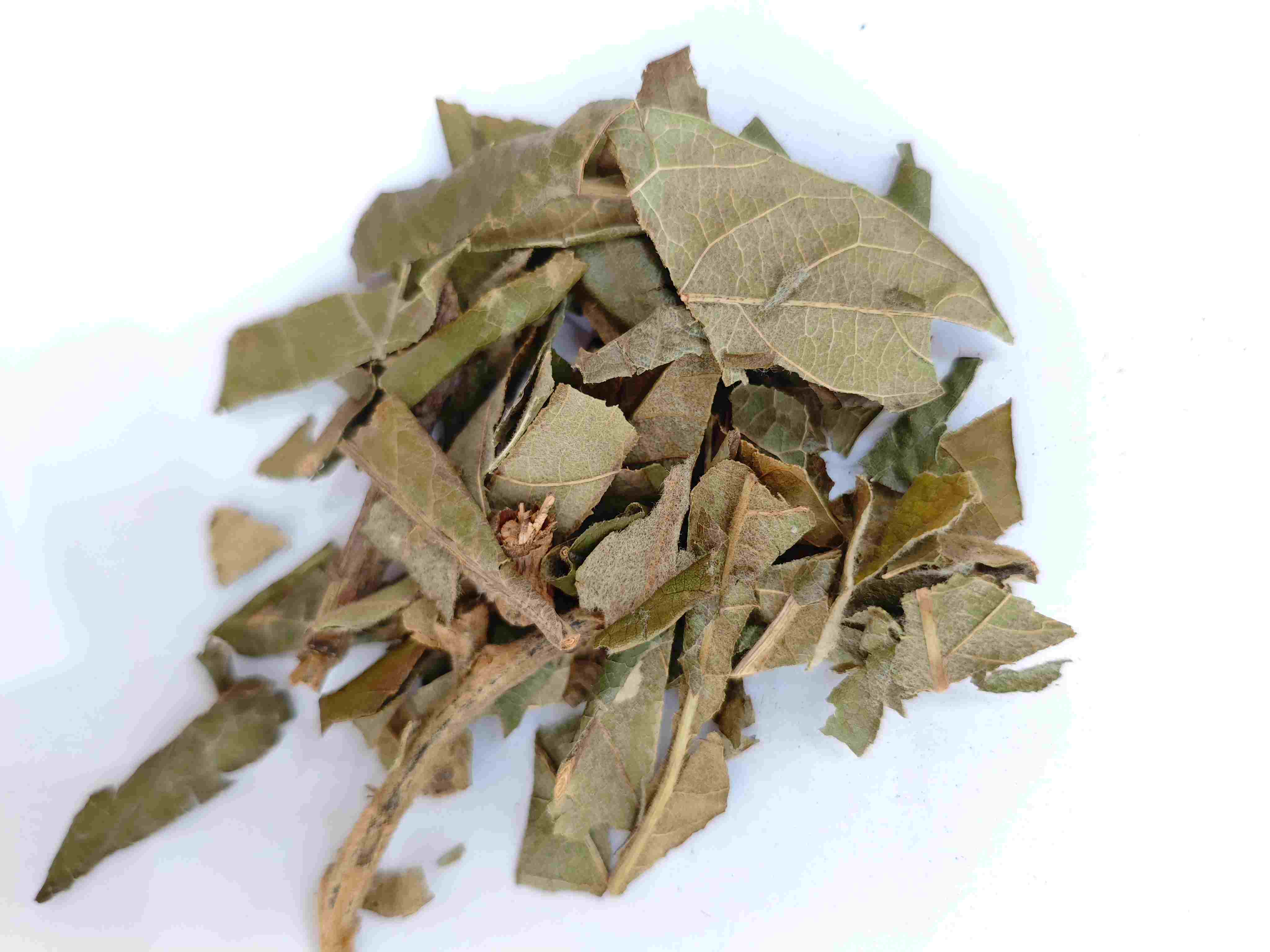 Loquat Leaf (Pípá Yè)