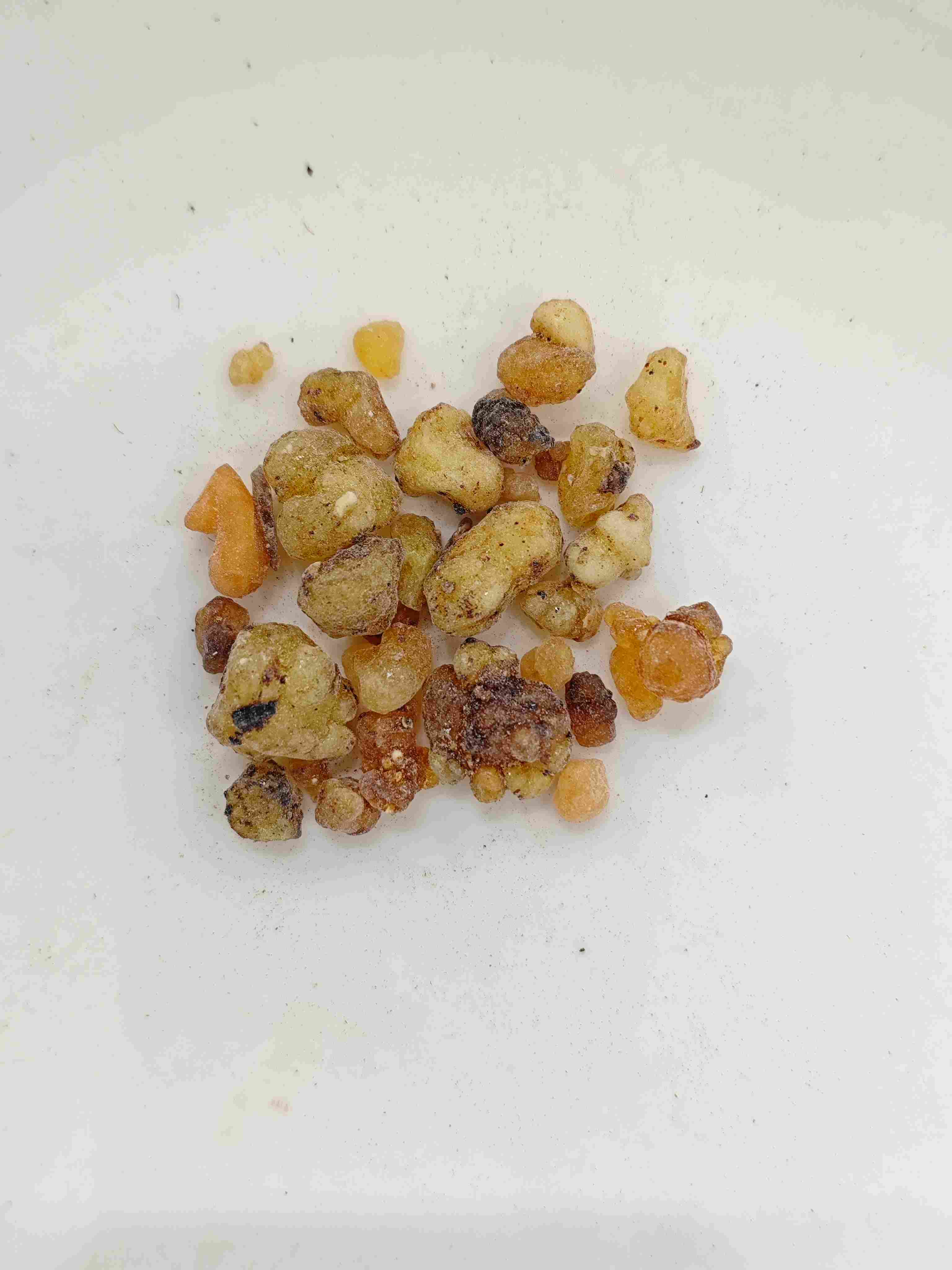 Frankincense (Rǔxiāng)