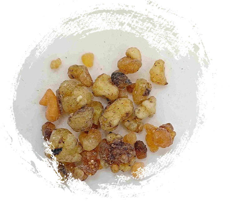 Frankincense (Rǔxiāng)