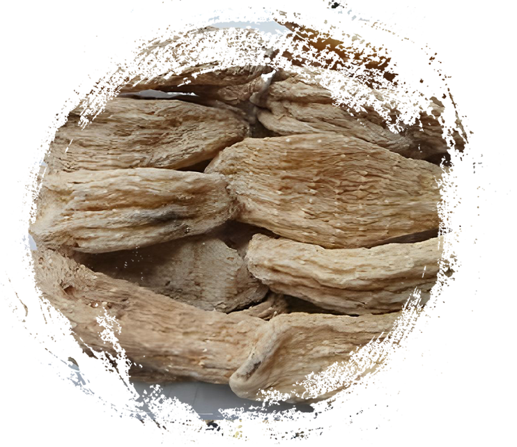 Shennongjia Gastrodia Elata from Hubei