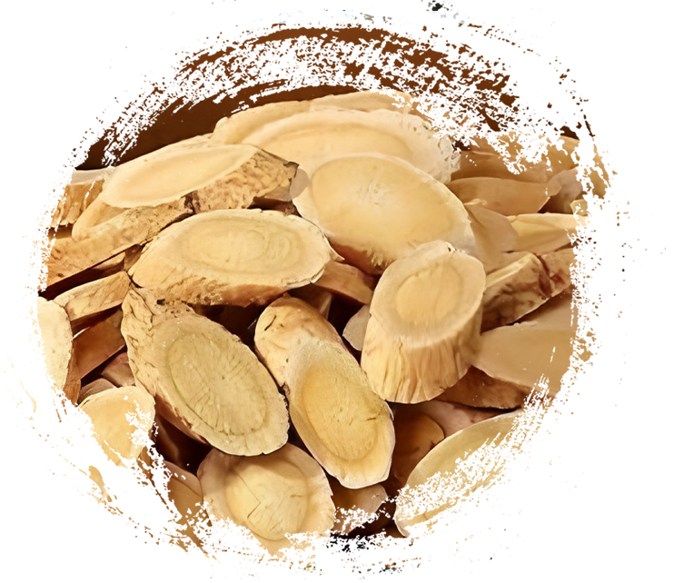 Rare and Precious Medicinal Herbs