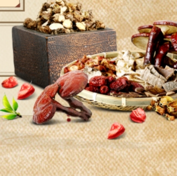Understanding the Role of TCM Plants in Natural Healing and Home Remedies